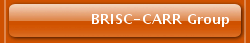 BRISC-CARR Group