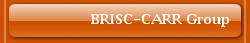 BRISC-CARR Group